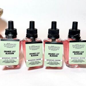 ORANGE LILY BLOSSOM Wallflowers